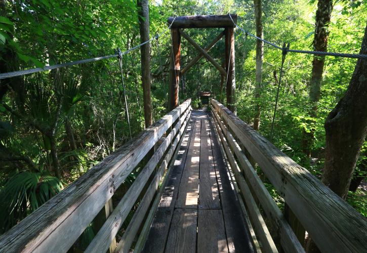 A view looking down the boardwalk.